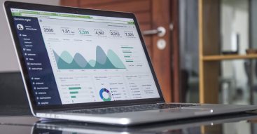 B2B Portal Developer