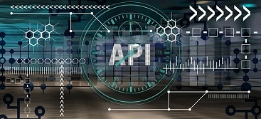 API integration service provider company